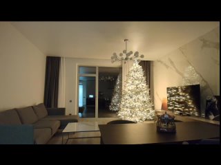 milla bella 2025 12 24 01 36 34 999