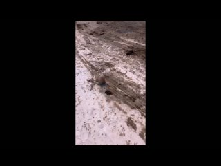 video by overheard nakhodka