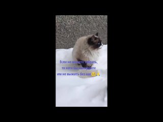 video by overheard belozersk